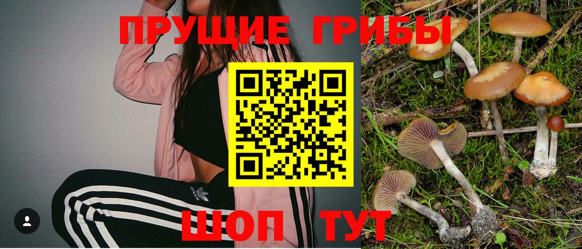 Галлюциногенные грибы прущие грибы Шатура