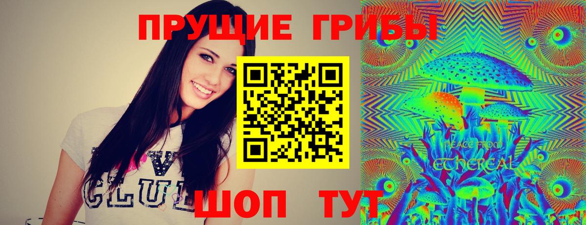 Шатура  Псилоцибиновые грибы Magic Shrooms  Вход с VPN  Псилоцибиновые грибы мицелий 